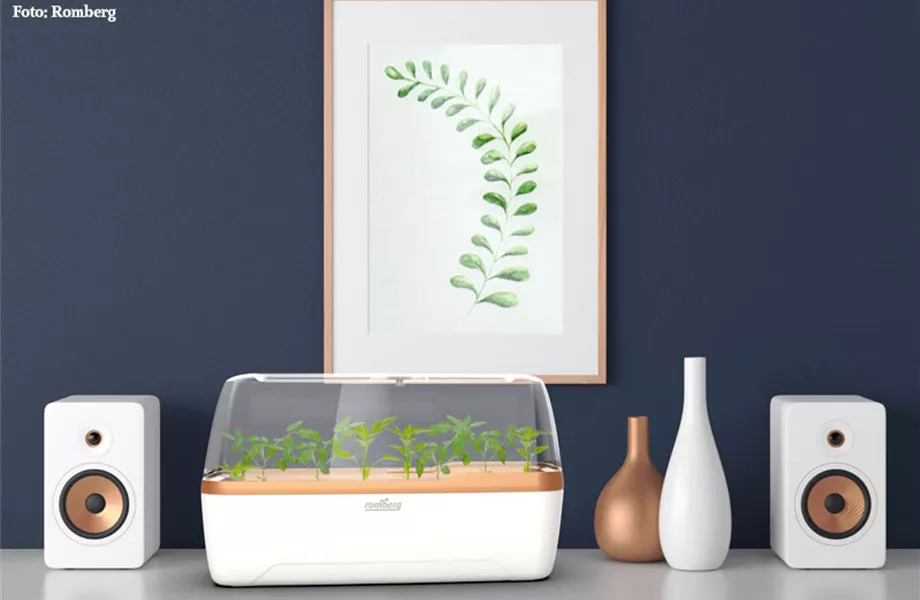 Der Garten im Haus