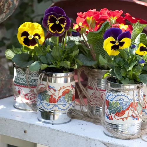 DIY-Tipp: Schwebende Veilchen