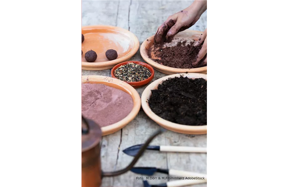 DIY-Tipp: Urban Gardening
