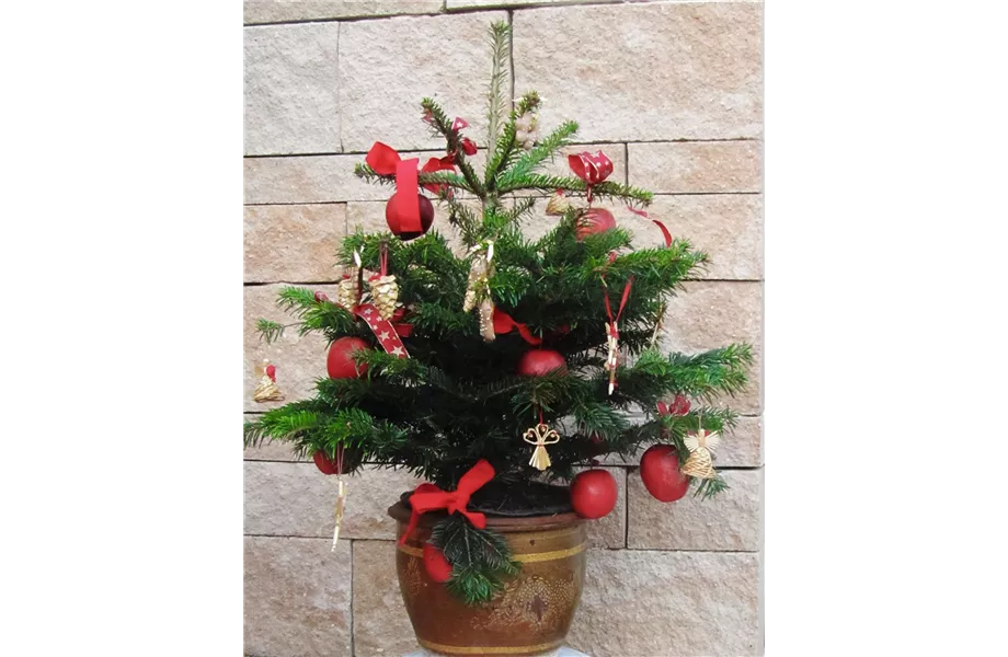 Alle Jahre wieder…