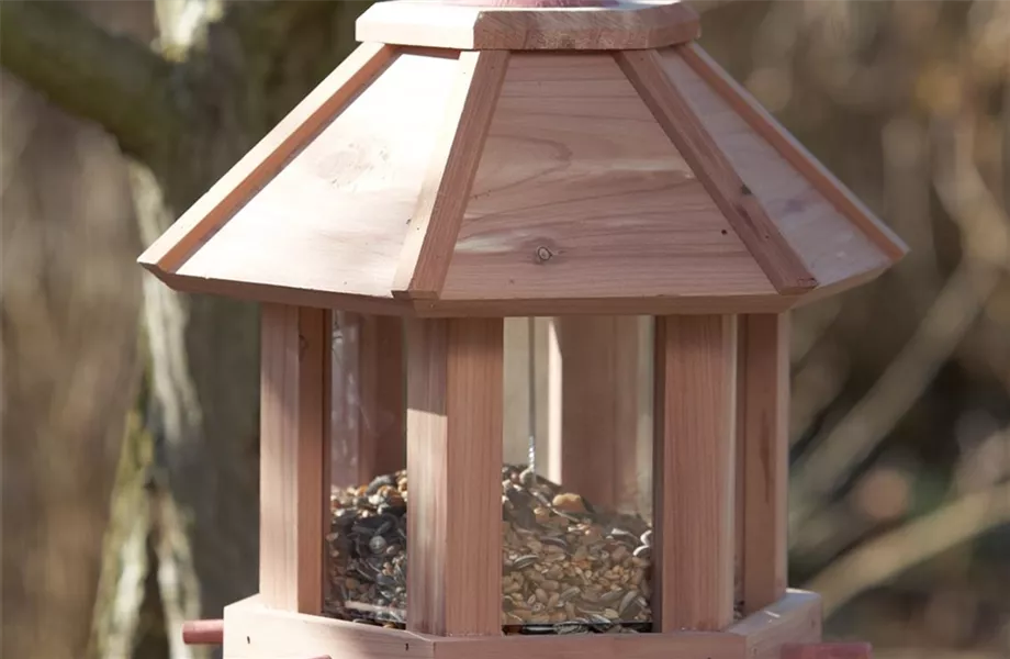 Hausmannskost für Hungerleider Hausmannskost für Hungerleider