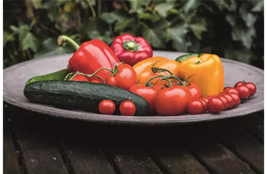 Mischkulturen: Wer passt zu wem?