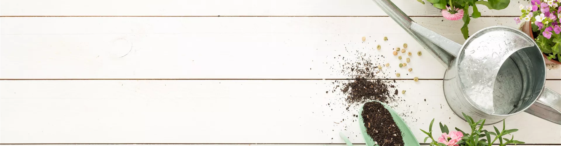 Entdecke unsere grünen Jobangebote!