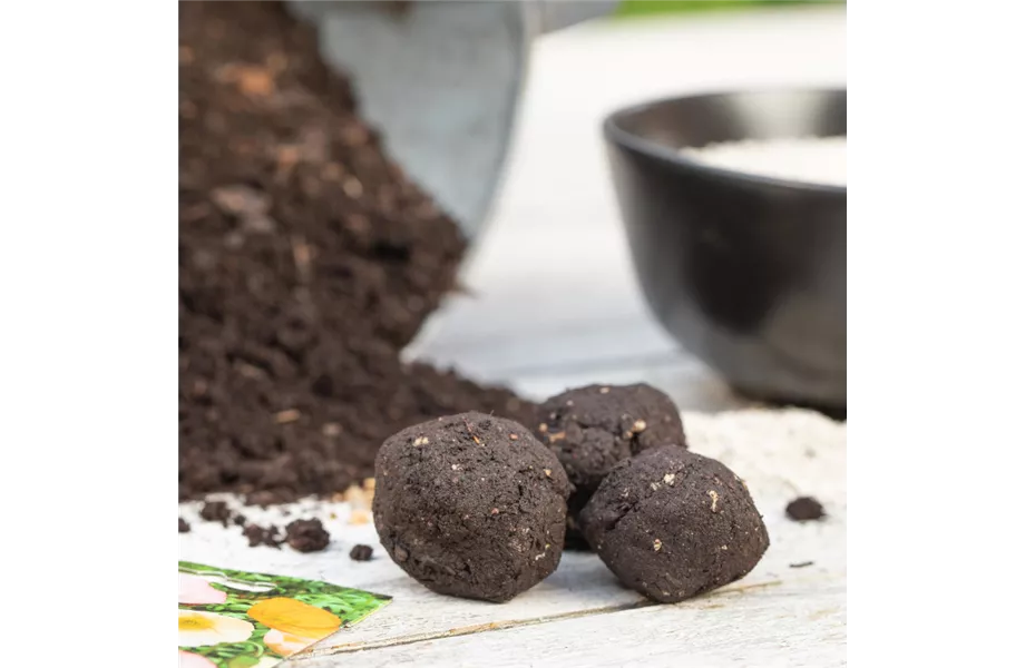 Erste Schritte in Richtung Gemüsegarten