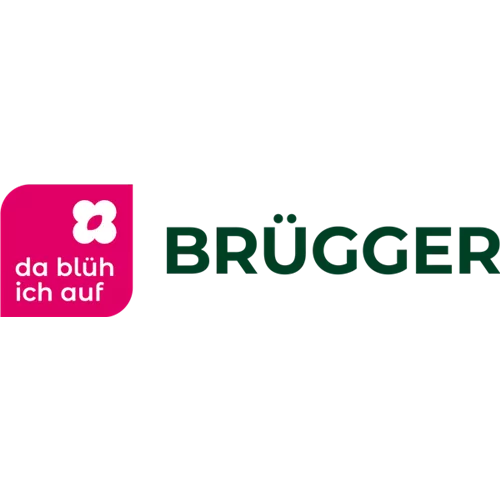 Blumen Brügger