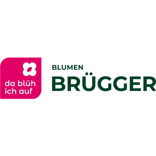 Blumen Brügger